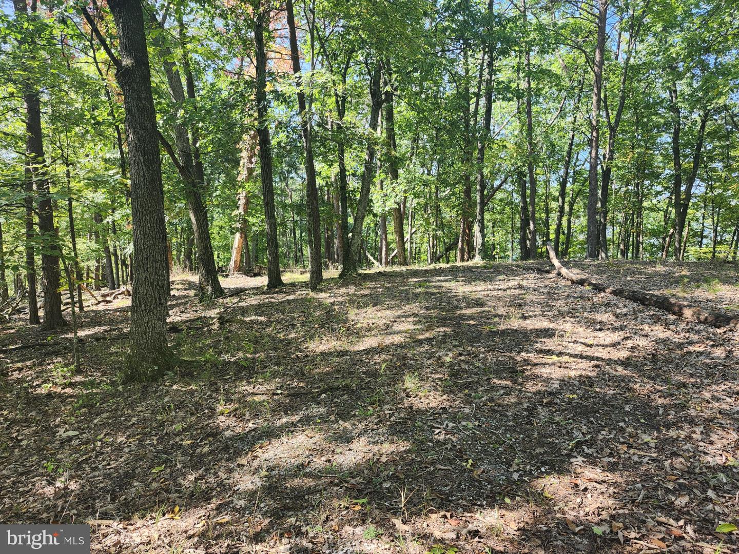 Grace Mountain Lane Property Photo 6