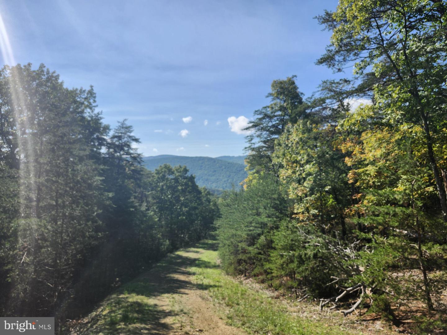 Grace Mountain Lane Property Photo 9