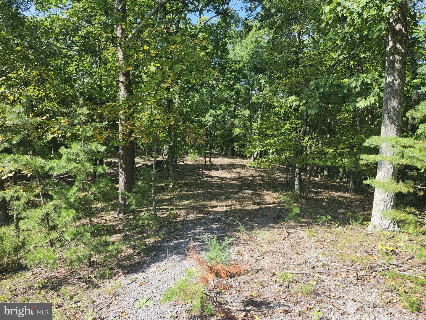 Grace Mountain Lane Property Photo 10