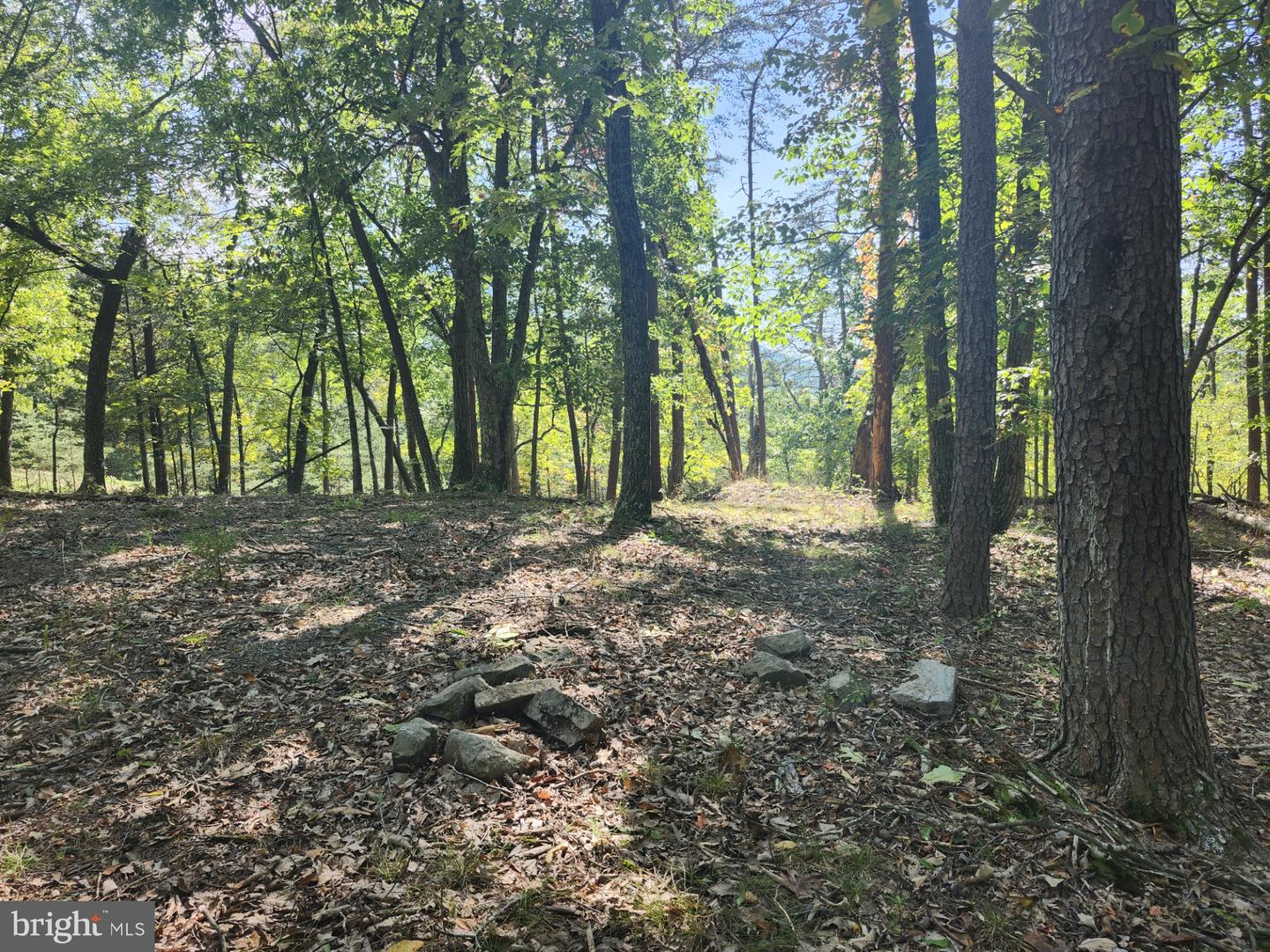 Grace Mountain Lane Property Photo 11