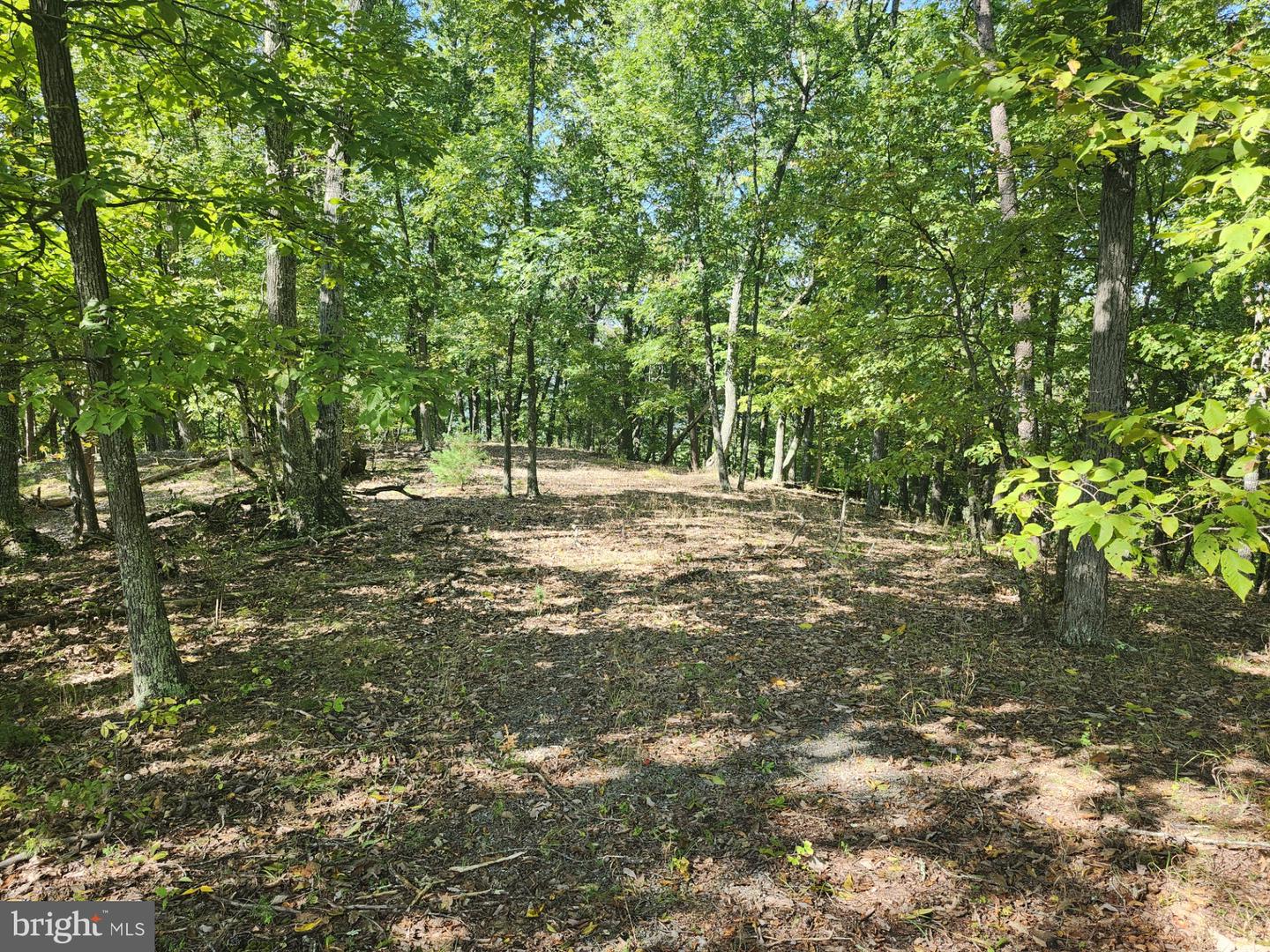 Grace Mountain Lane Property Photo 12