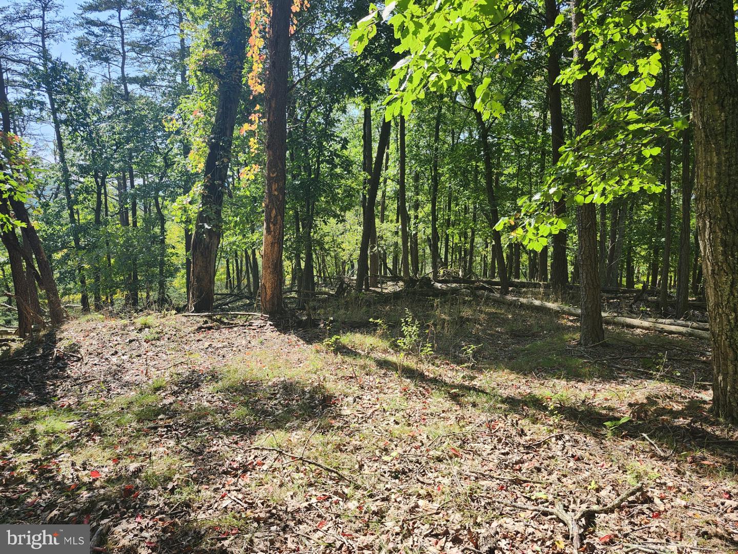Grace Mountain Lane Property Photo 13