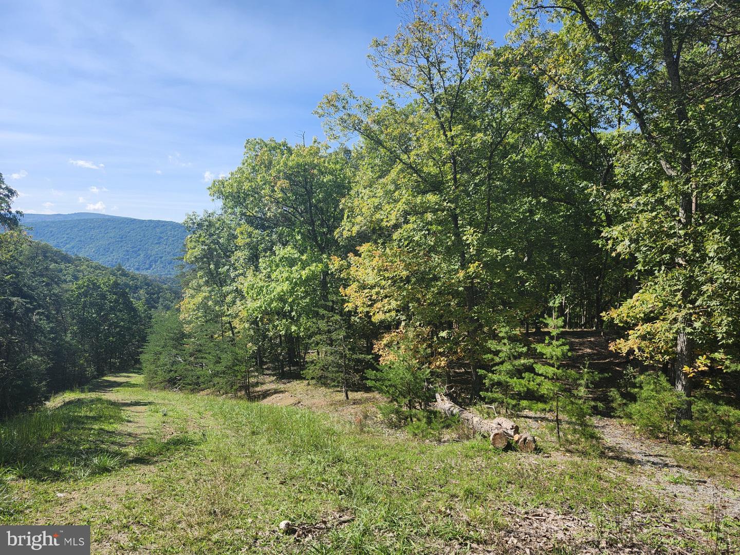 Grace Mountain Lane Property Photo 16