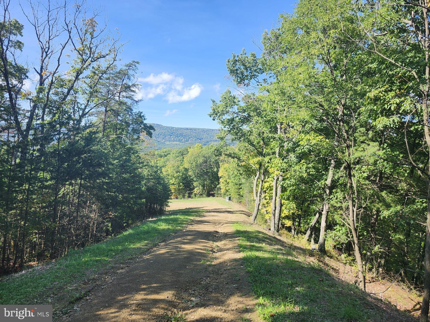Grace Mountain Lane Property Photo 18