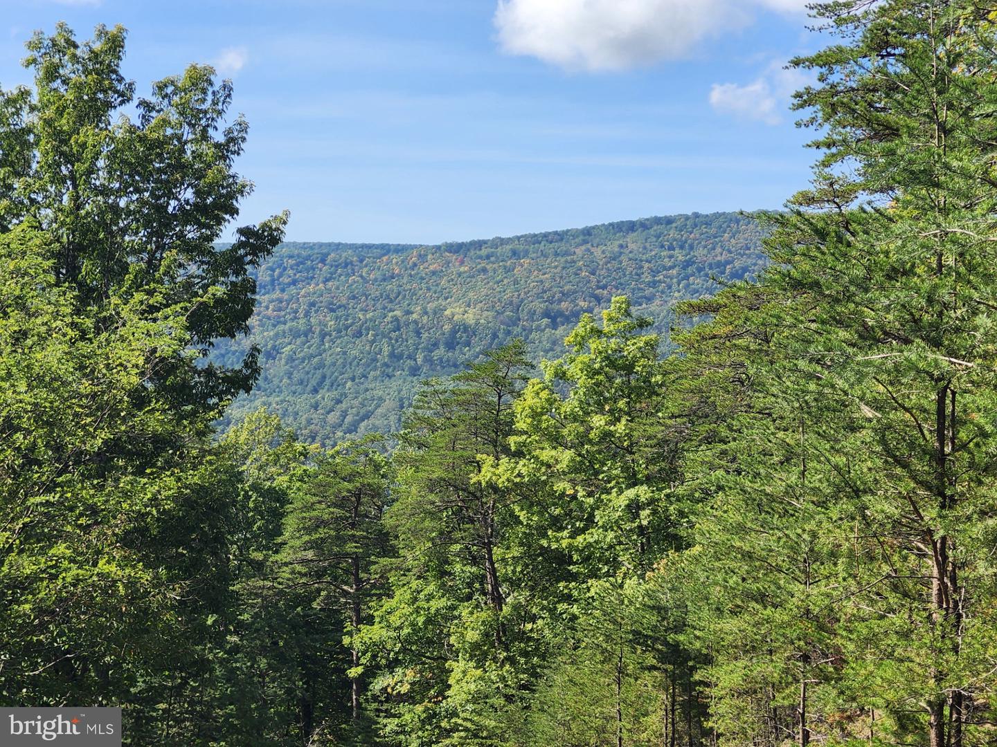 Grace Mountain Lane Property Photo 20