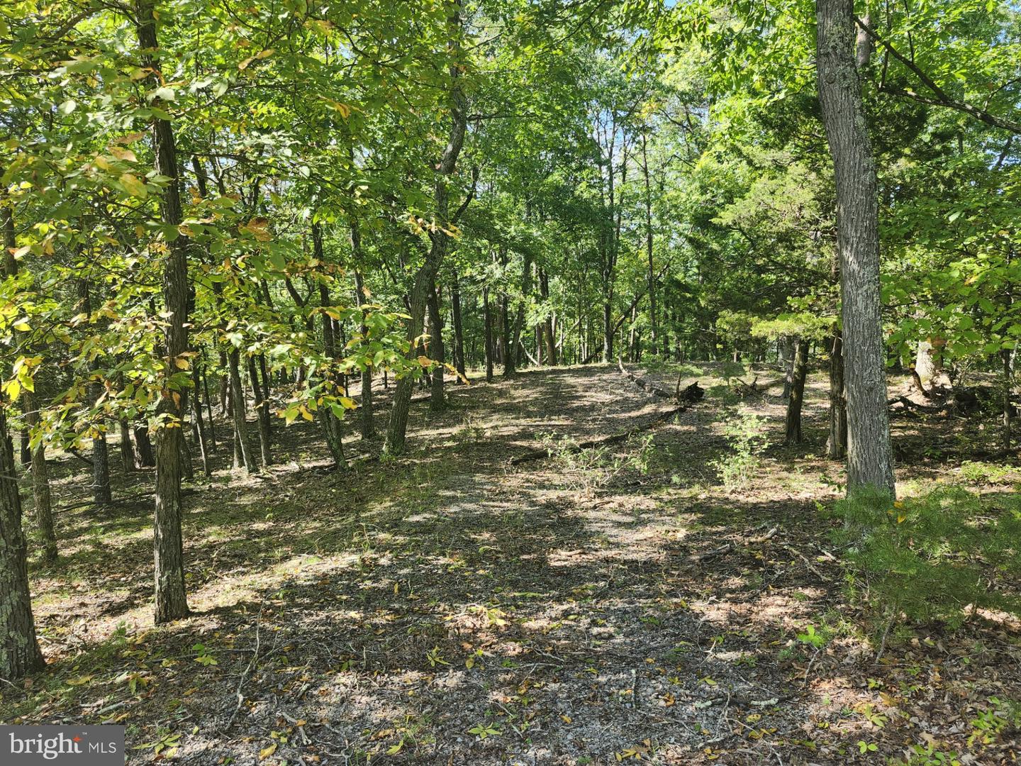 Grace Mountain Lane Property Photo 23