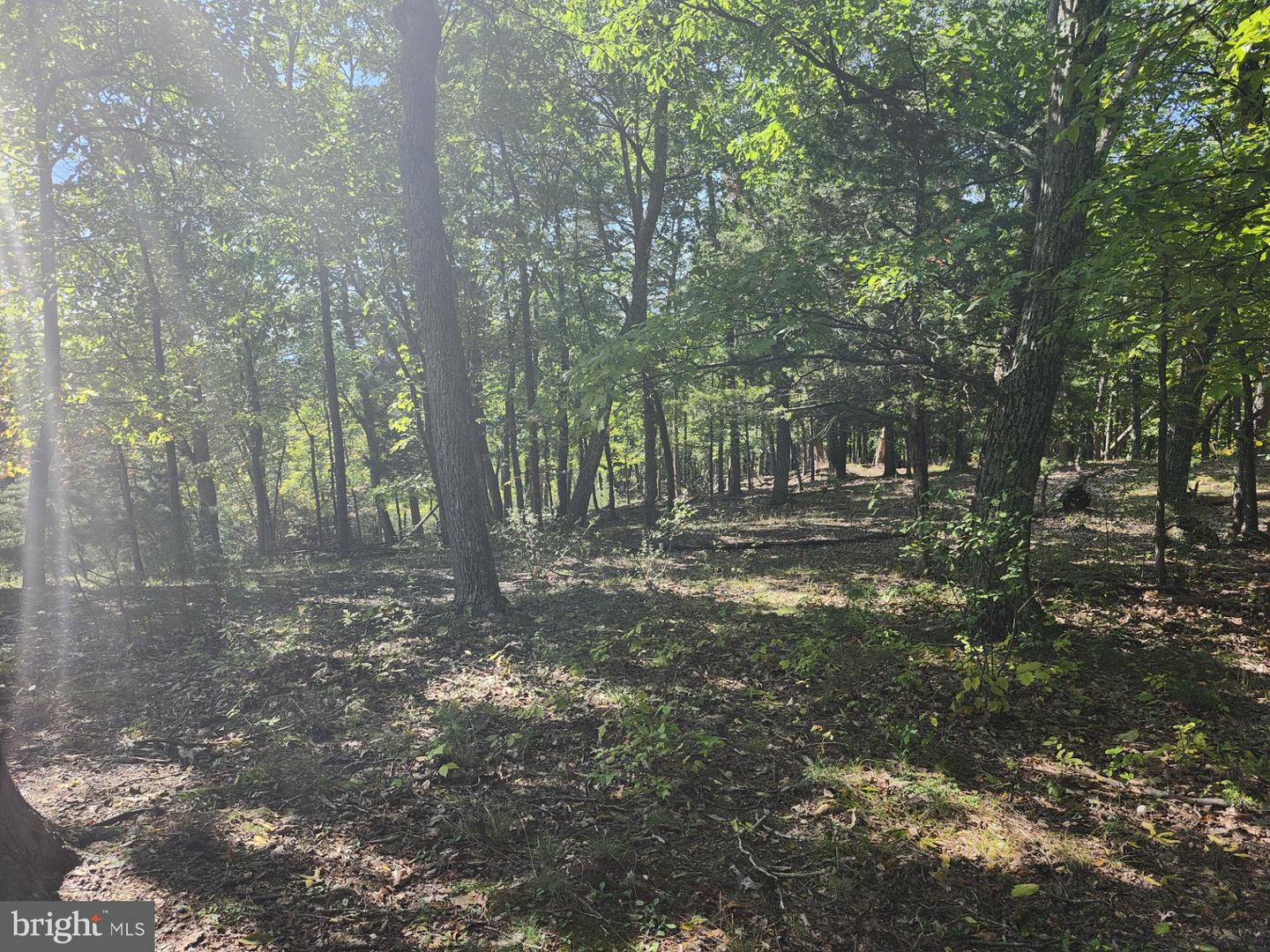 Grace Mountain Lane Property Photo 25