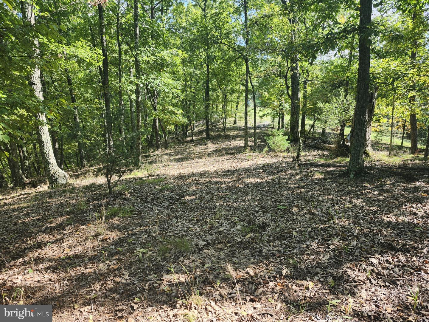 Grace Mountain Lane Property Photo 26