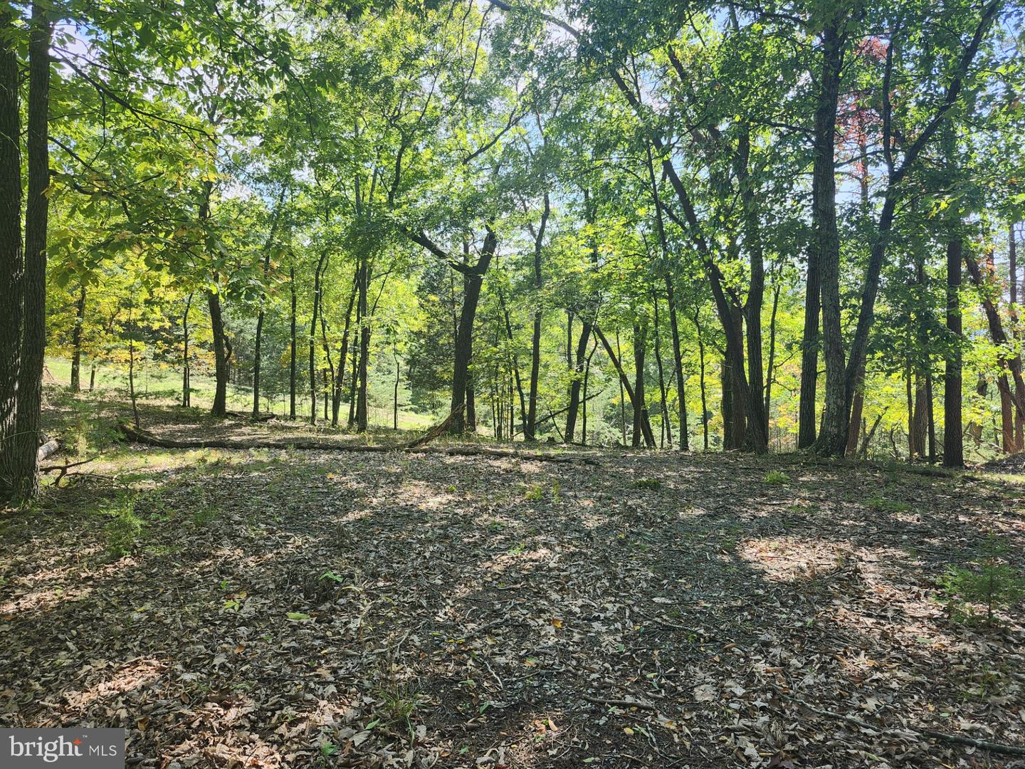 Grace Mountain Lane Property Photo 30