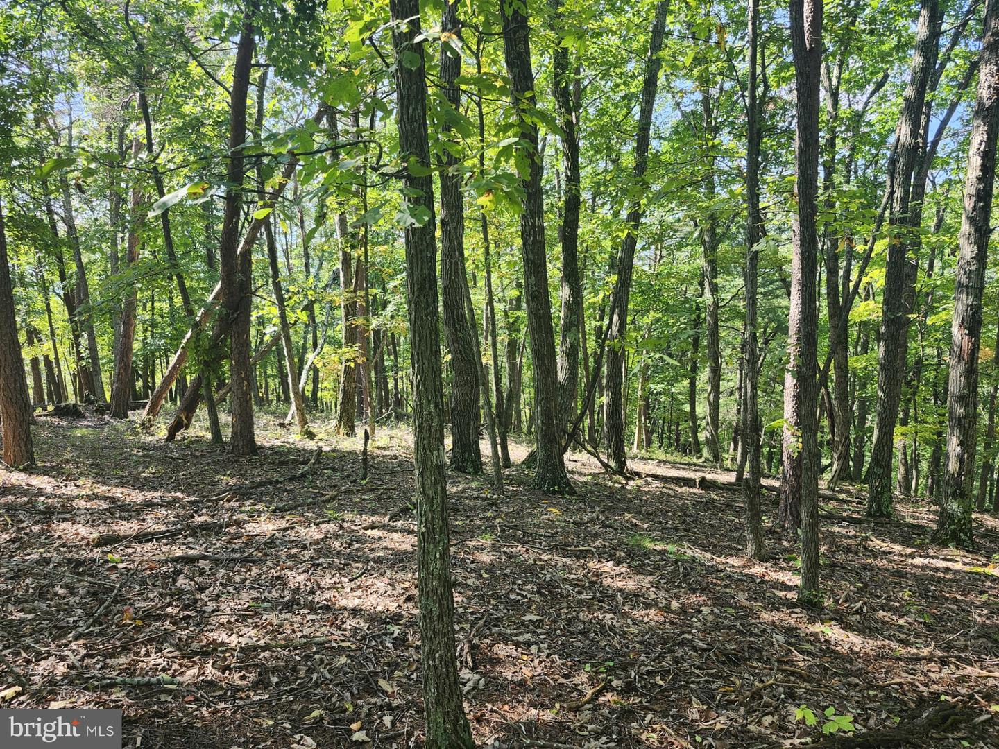 Grace Mountain Lane Property Photo 31