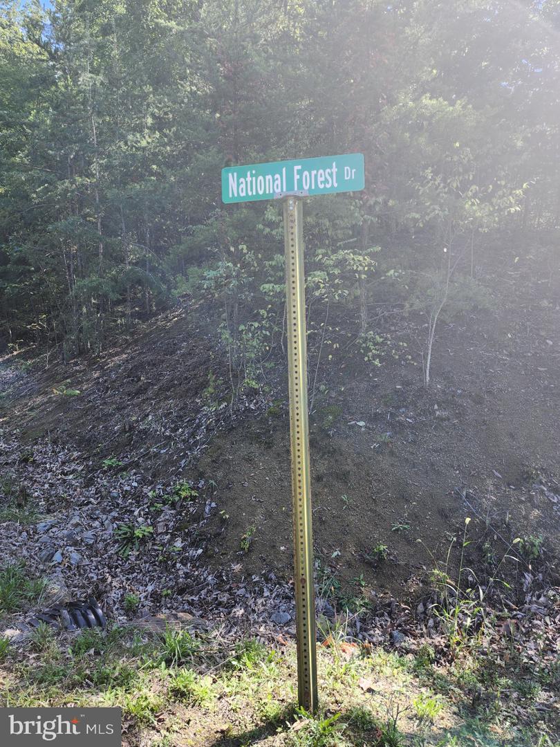 Grace Mountain Lane Property Photo 34