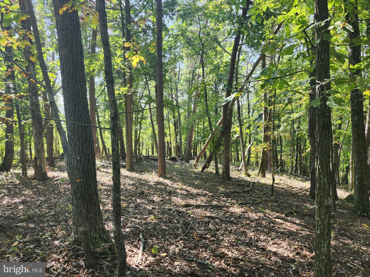 Grace Mountain Lane Property Photo 37