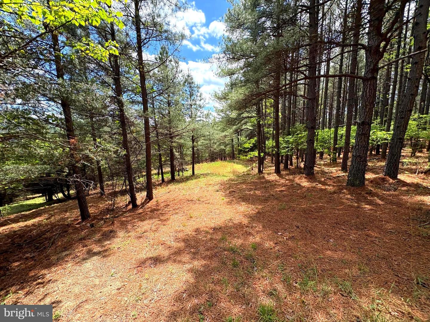 20.74 Ac Lot 10 Ashton Woods Property Photo 1