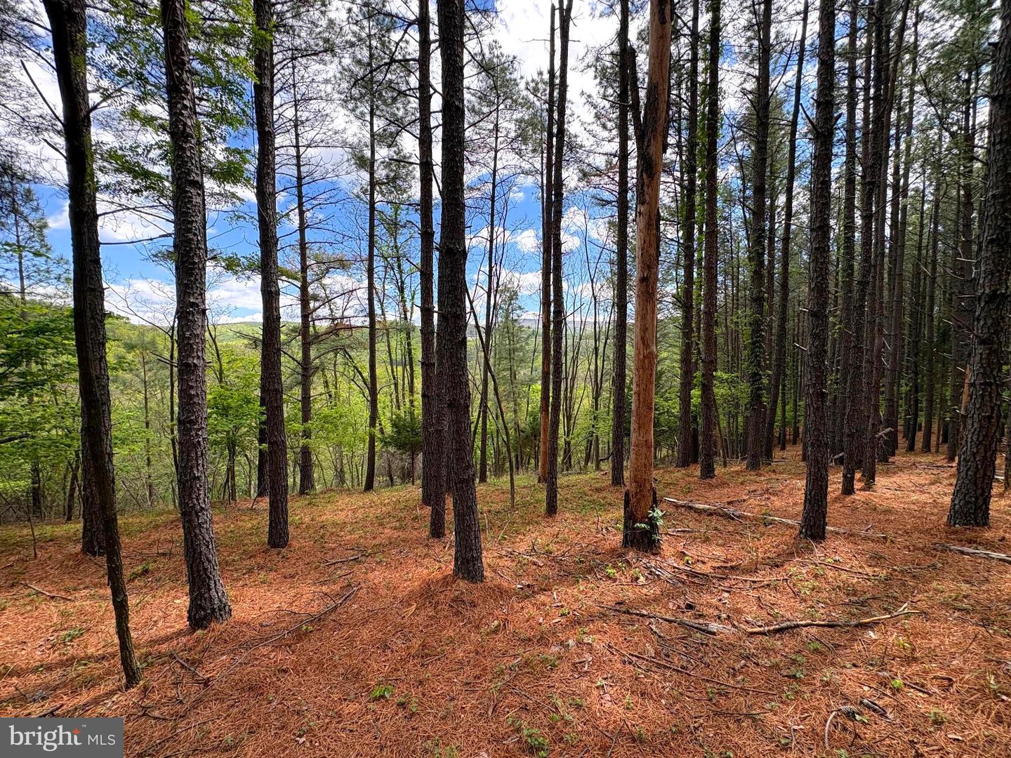 20.74 Ac Lot 10 Ashton Woods Property Photo 5