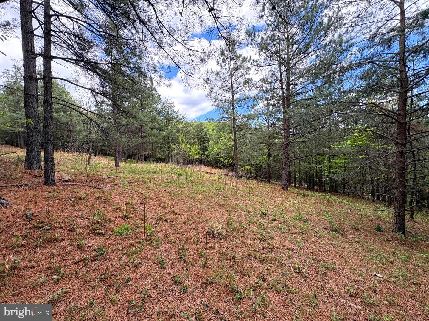 20.74 Ac Lot 10 Ashton Woods Property Photo 6
