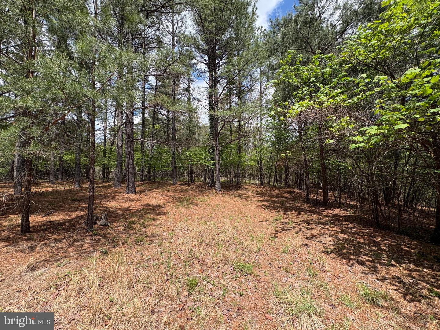 20.74 Ac Lot 10 Ashton Woods Property Photo 7