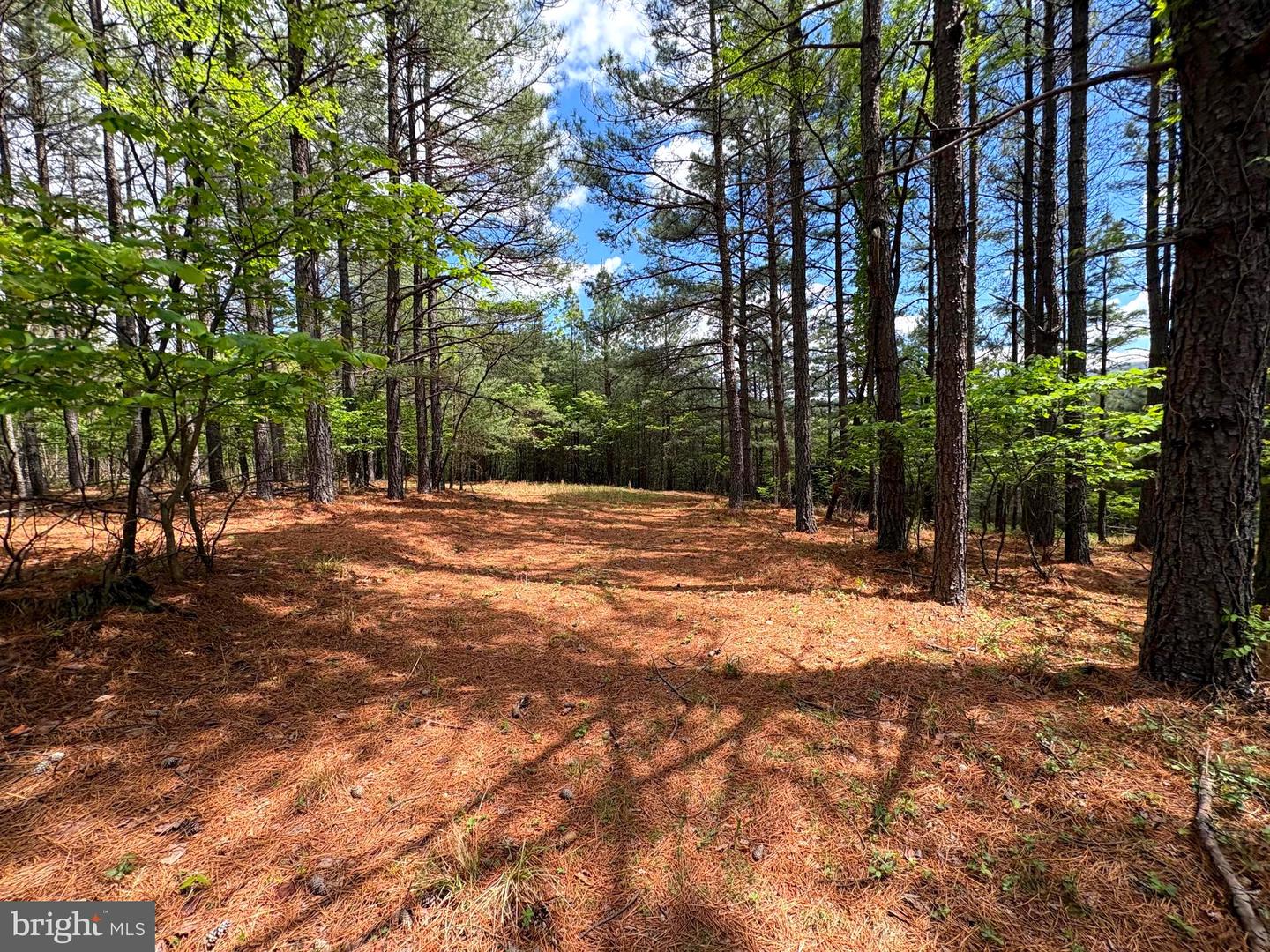 20.74 Ac Lot 10 Ashton Woods Property Photo 8