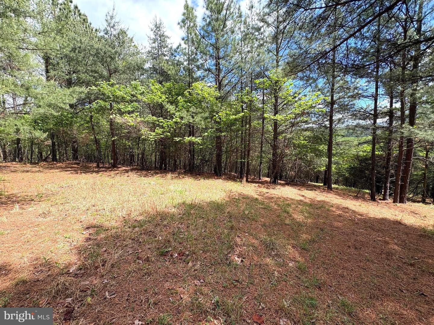 20.74 Ac Lot 10 Ashton Woods Property Photo 9