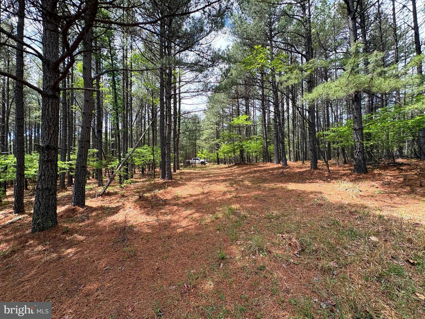 20.74 Ac Lot 10 Ashton Woods Property Photo 10