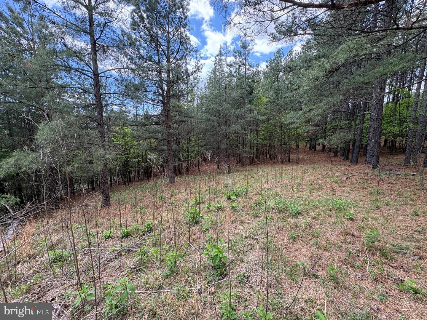 20.74 Ac Lot 10 Ashton Woods Property Photo 13