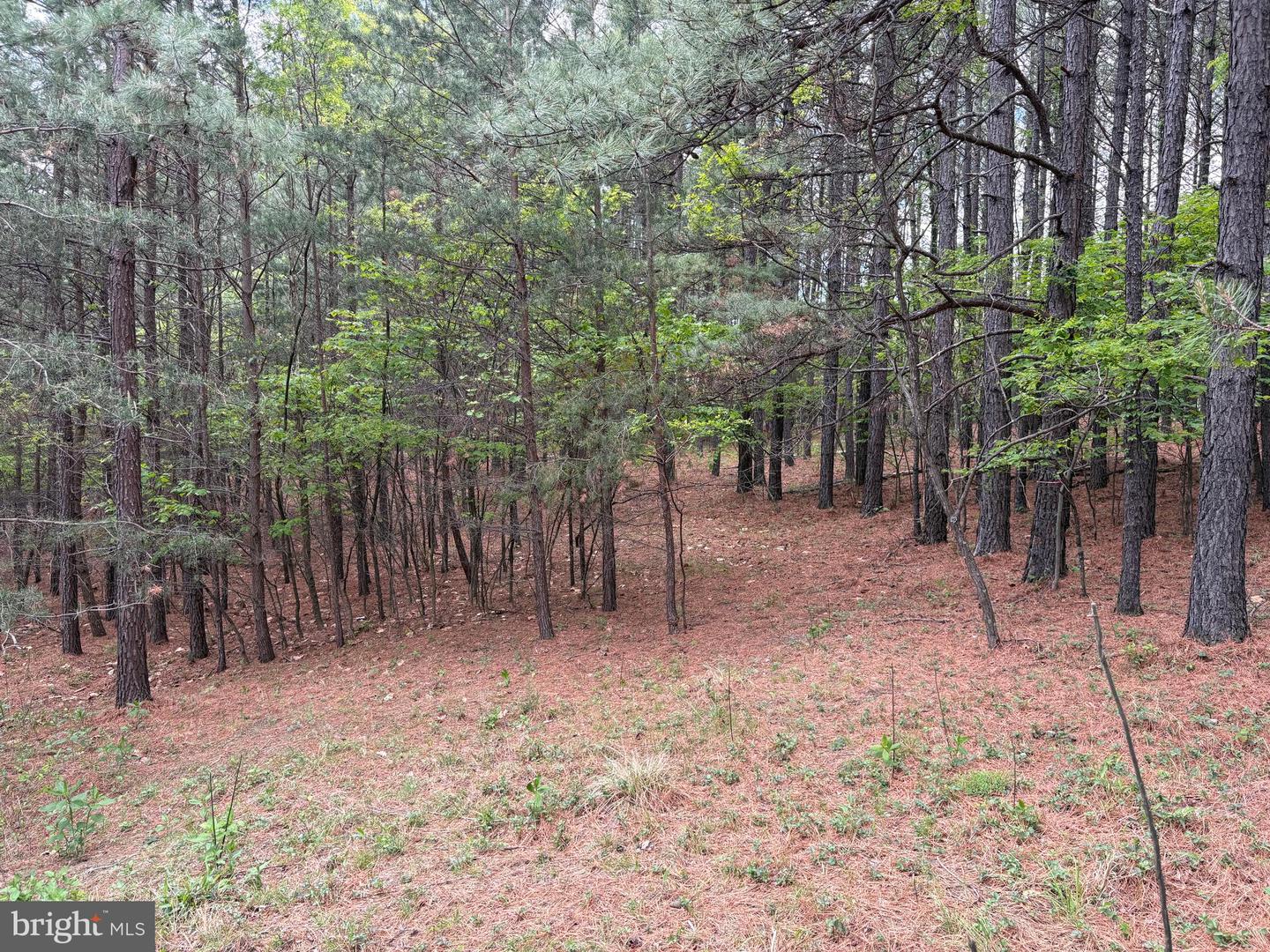 20.74 Ac Lot 10 Ashton Woods Property Photo 14