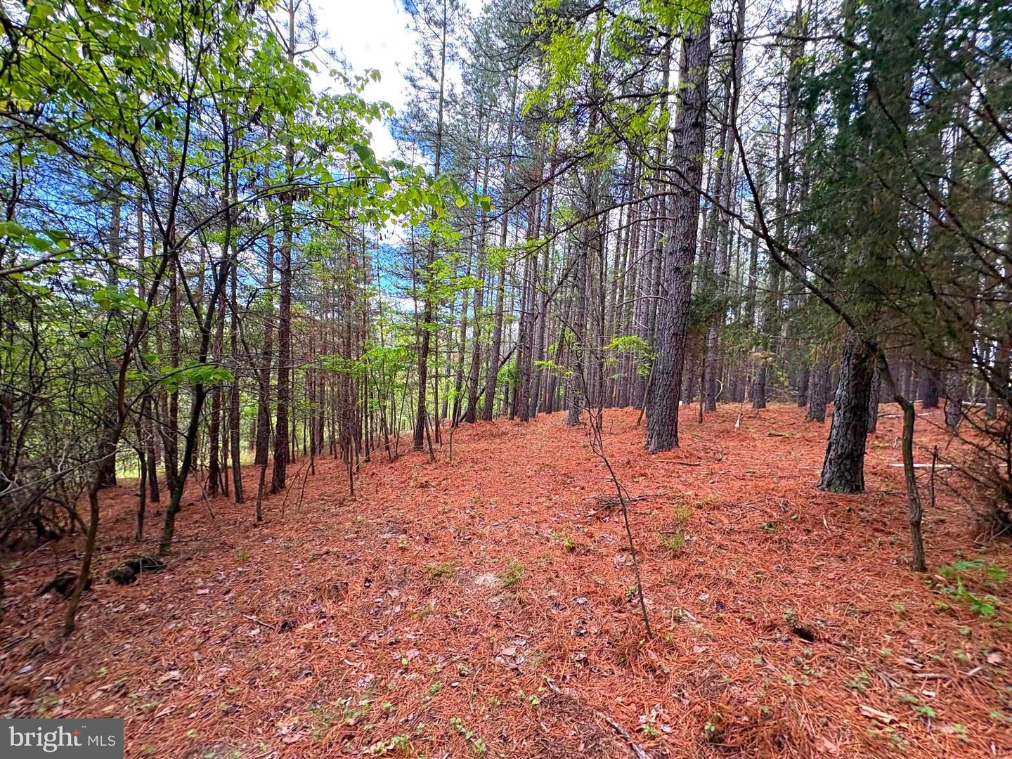 20.74 Ac Lot 10 Ashton Woods Property Photo 15