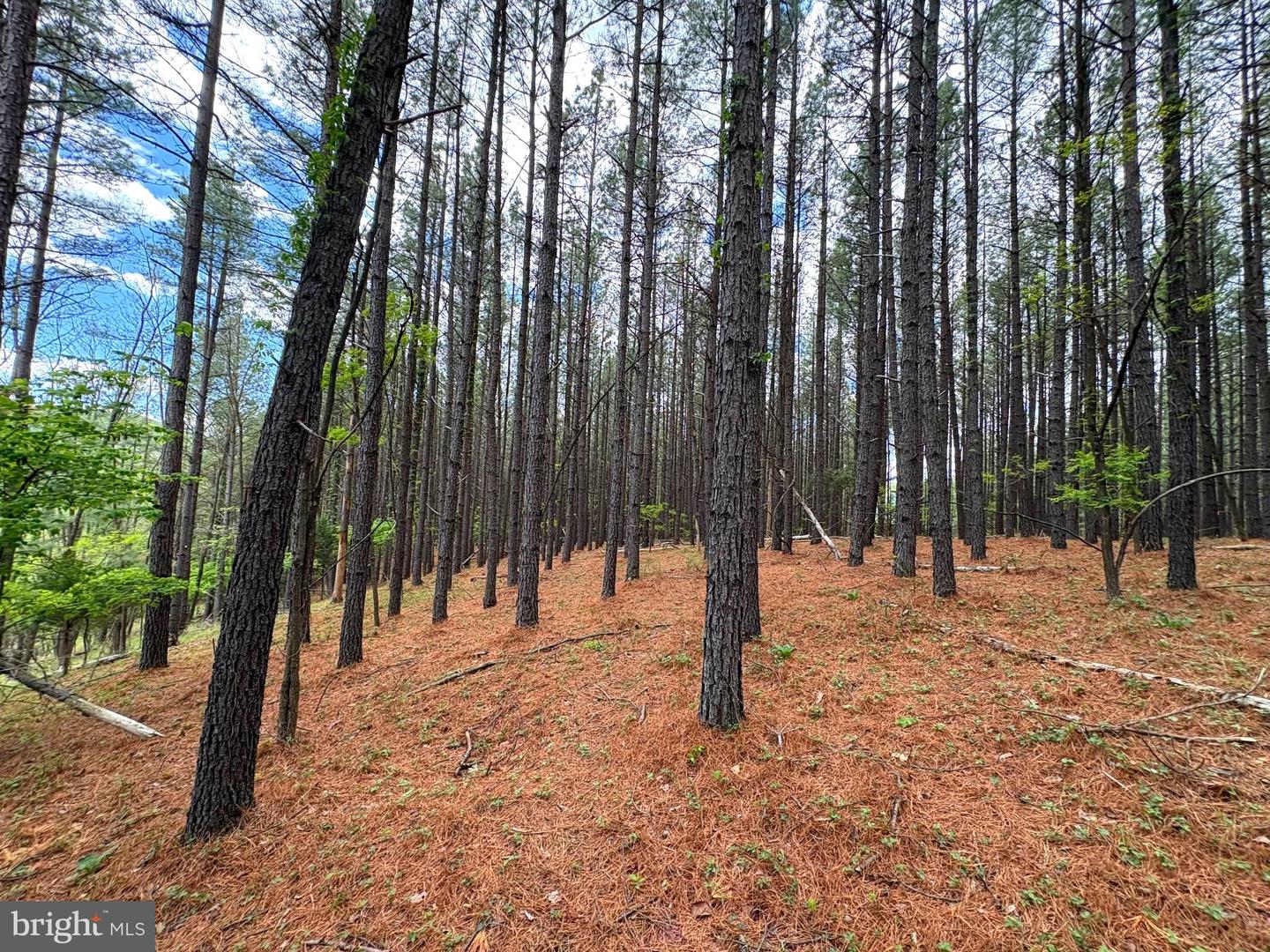 20.74 Ac Lot 10 Ashton Woods Property Photo 16