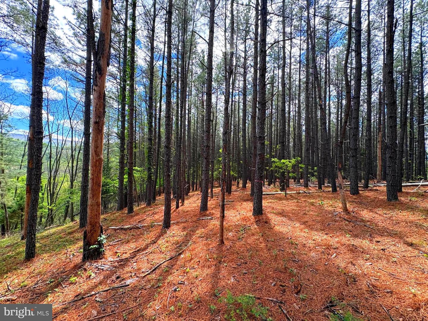 20.74 Ac Lot 10 Ashton Woods Property Photo 17