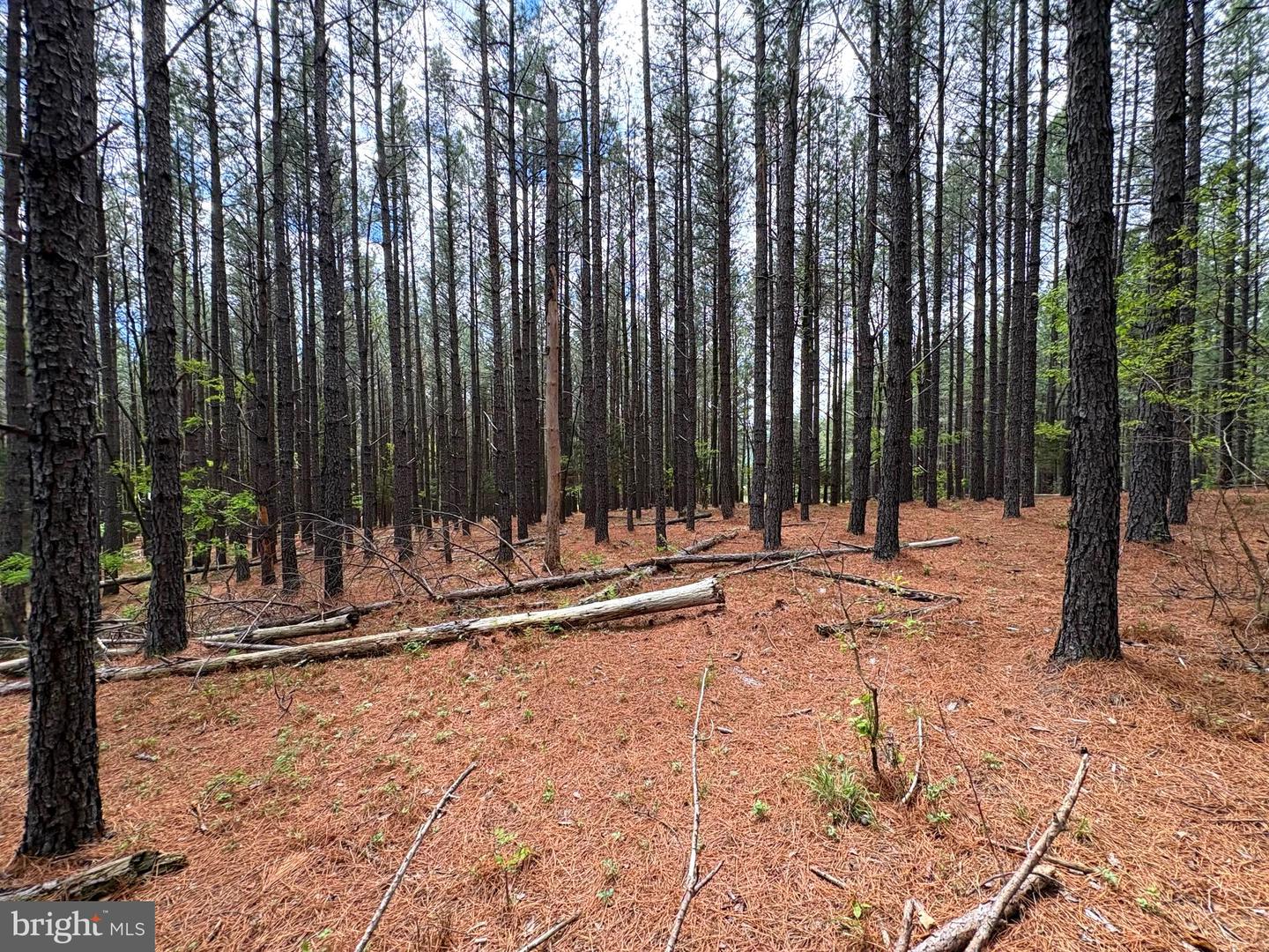 20.74 Ac Lot 10 Ashton Woods Property Photo 18
