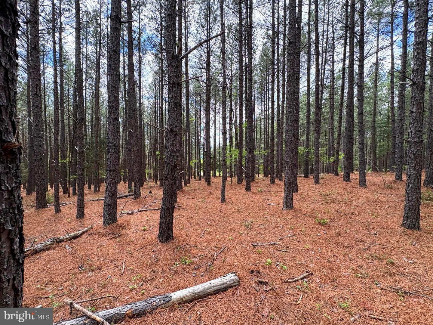 20.74 Ac Lot 10 Ashton Woods Property Photo 19