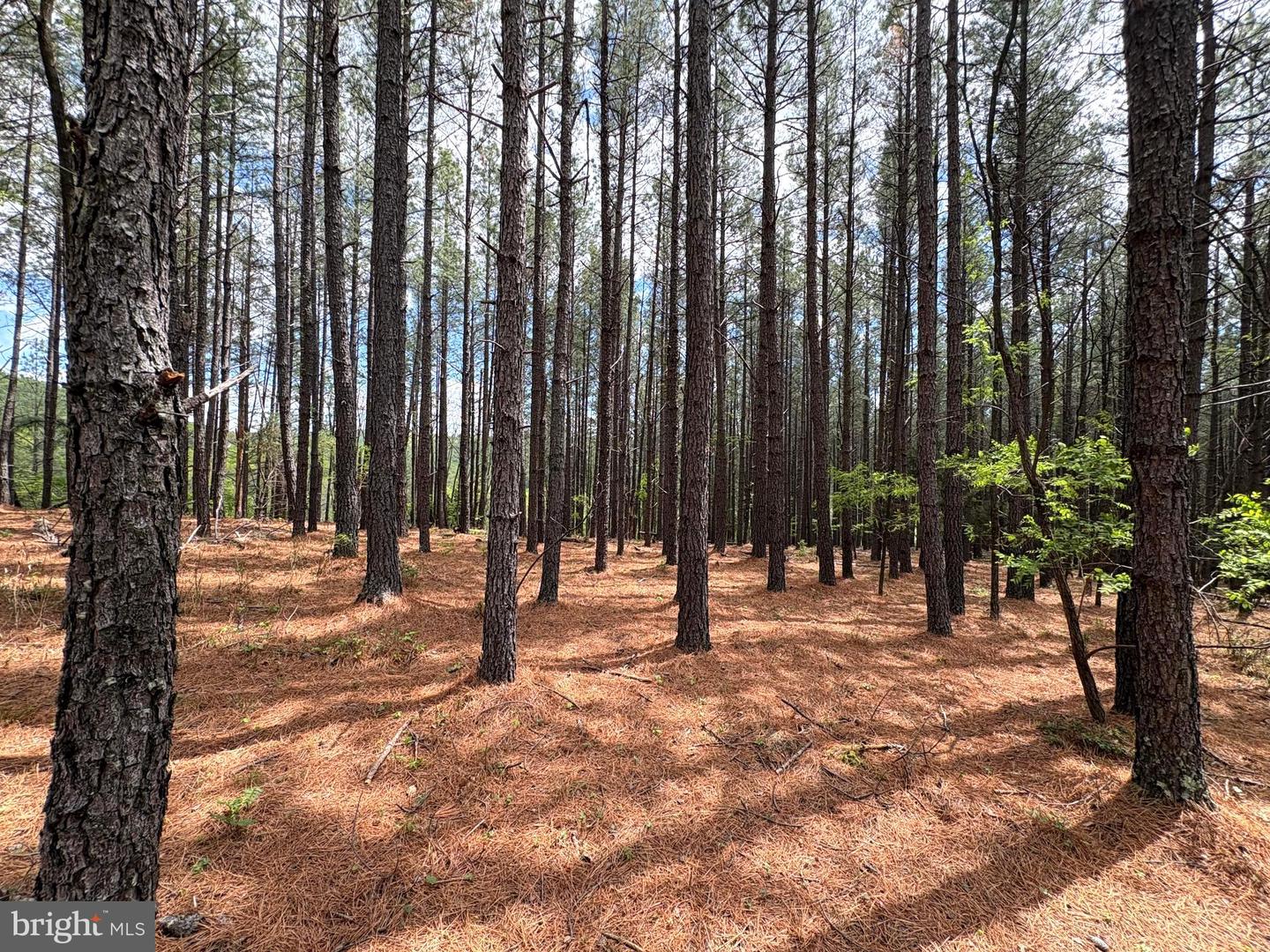 20.74 Ac Lot 10 Ashton Woods Property Photo 20