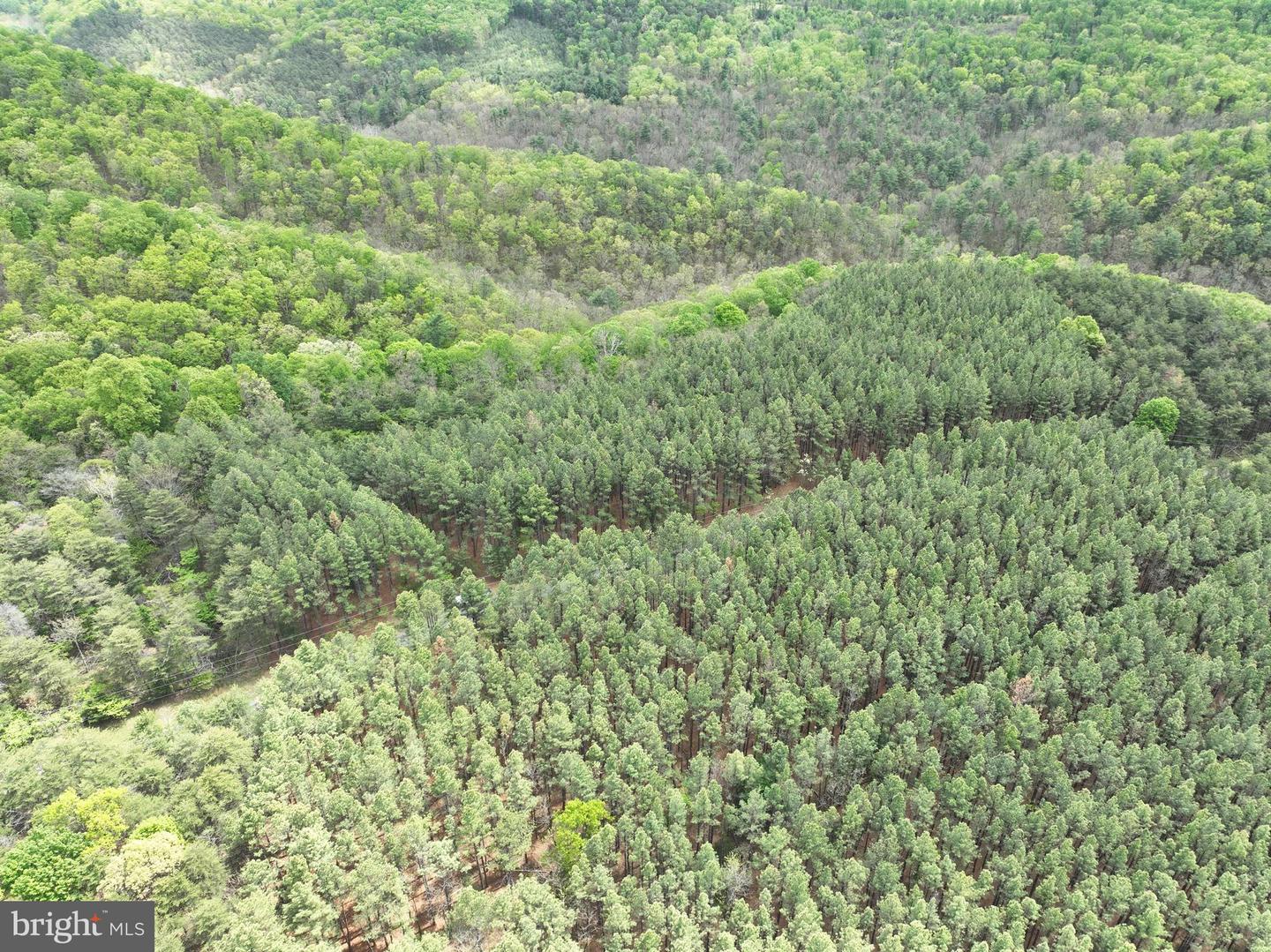 20.74 Ac Lot 10 Ashton Woods Property Photo 21