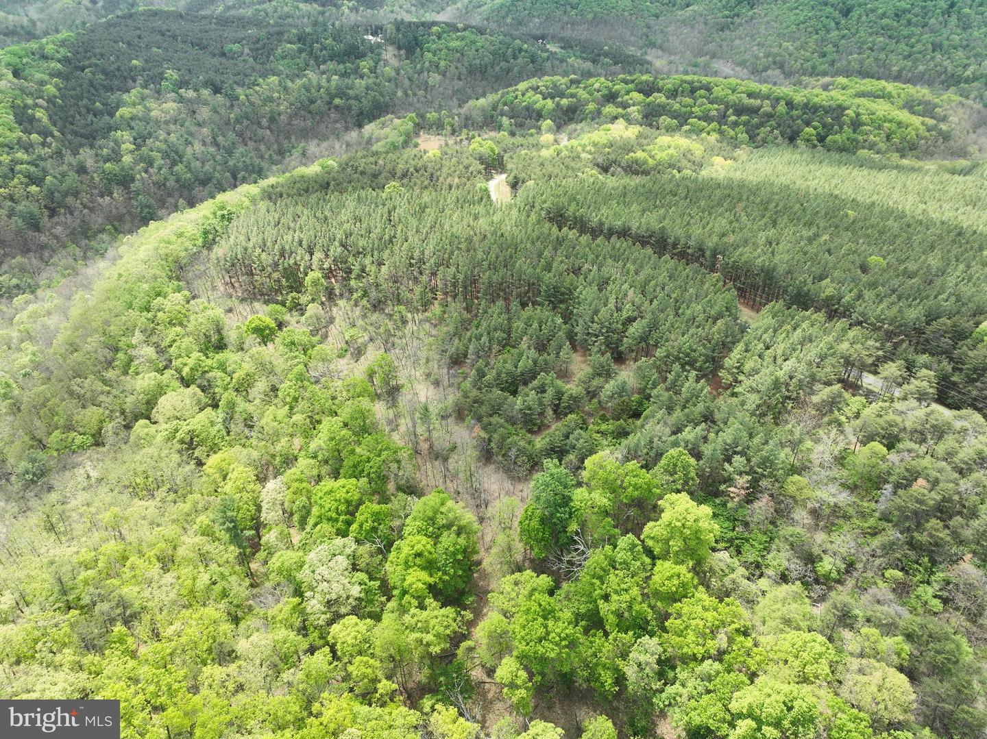 20.74 Ac Lot 10 Ashton Woods Property Photo 24