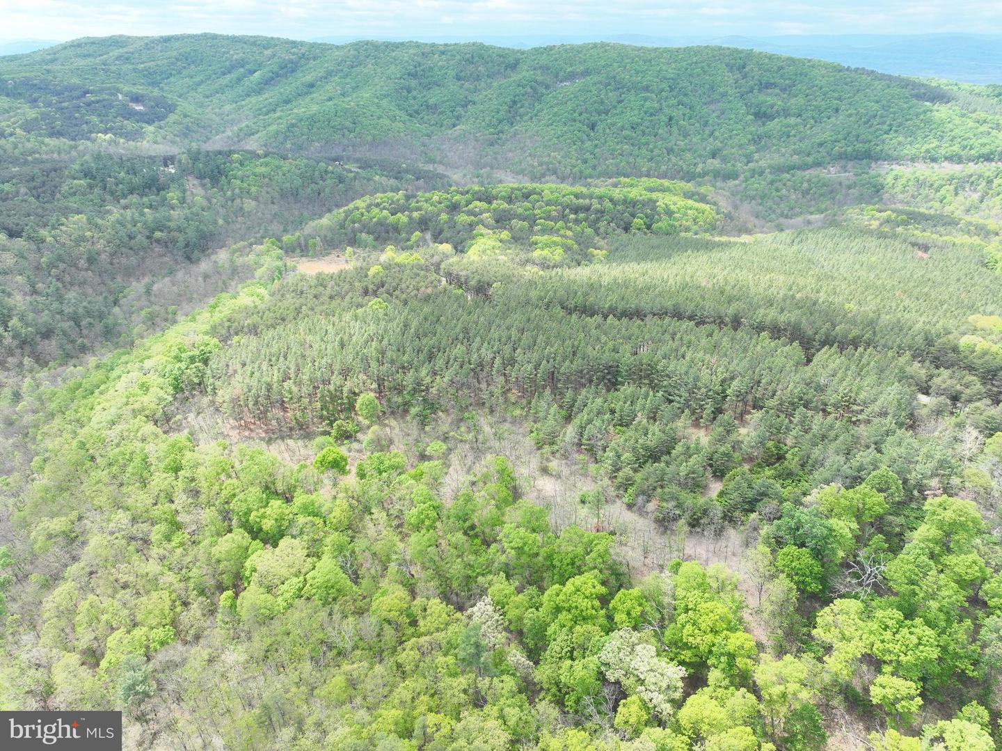20.74 Ac Lot 10 Ashton Woods Property Photo 25