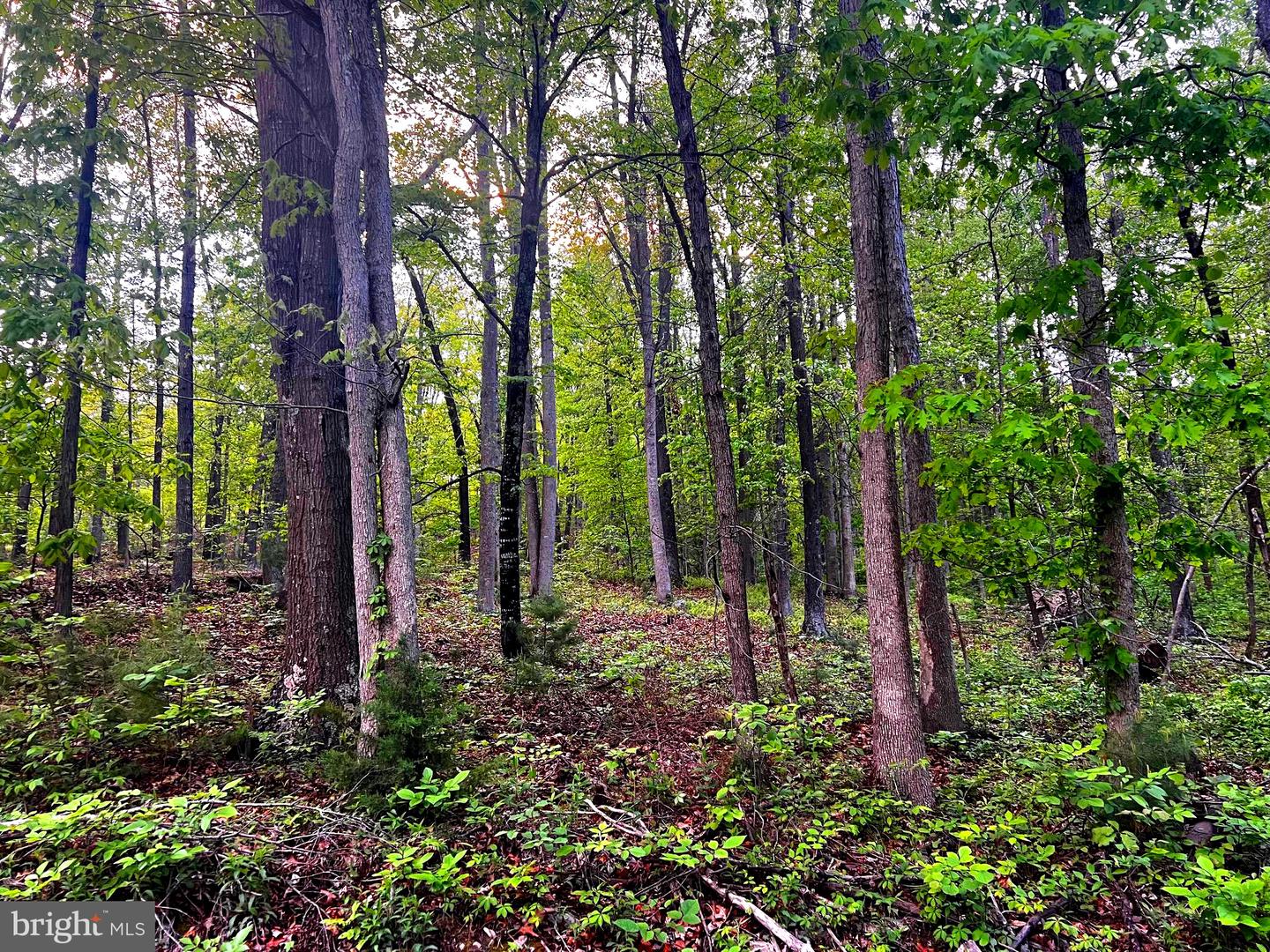 7 Dumpling Run Rd Property Photo 1