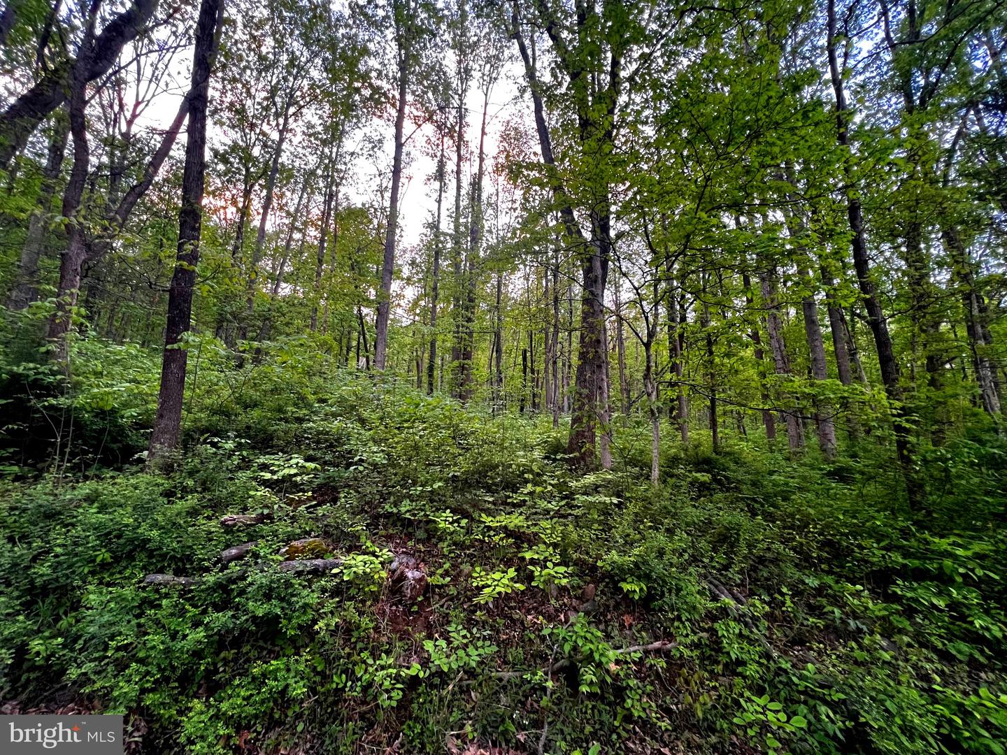7 Dumpling Run Rd Property Photo 5