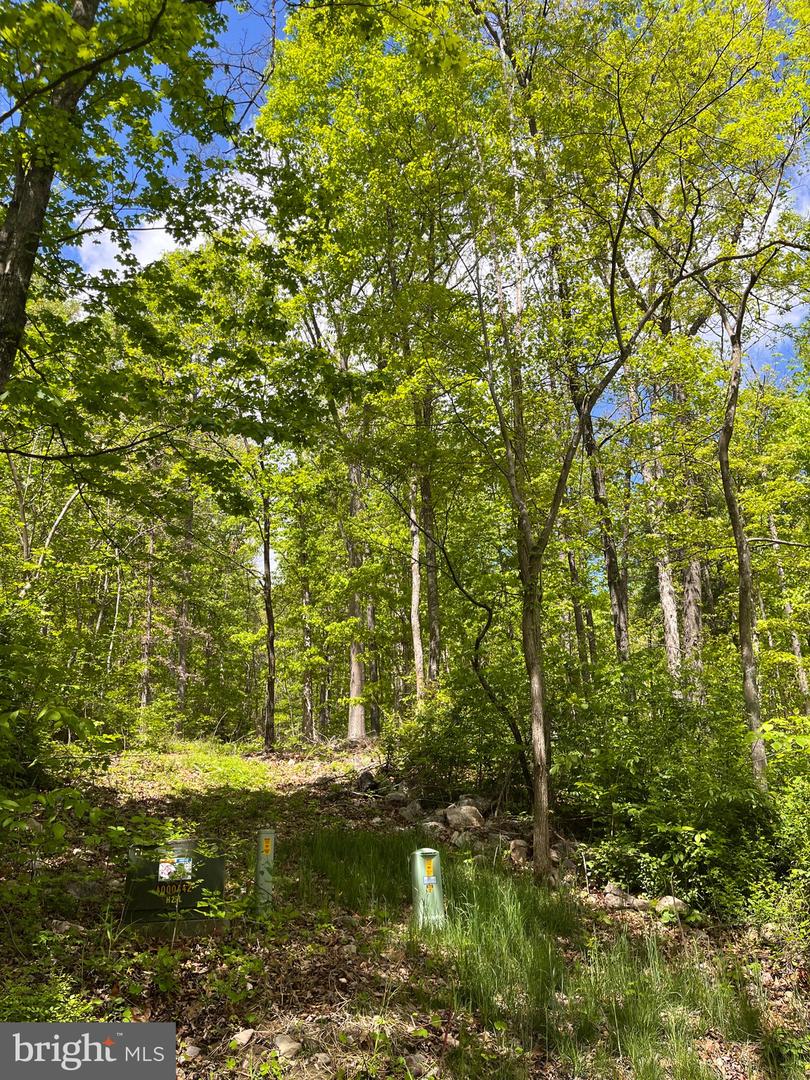 7 Dumpling Run Rd Property Photo 8