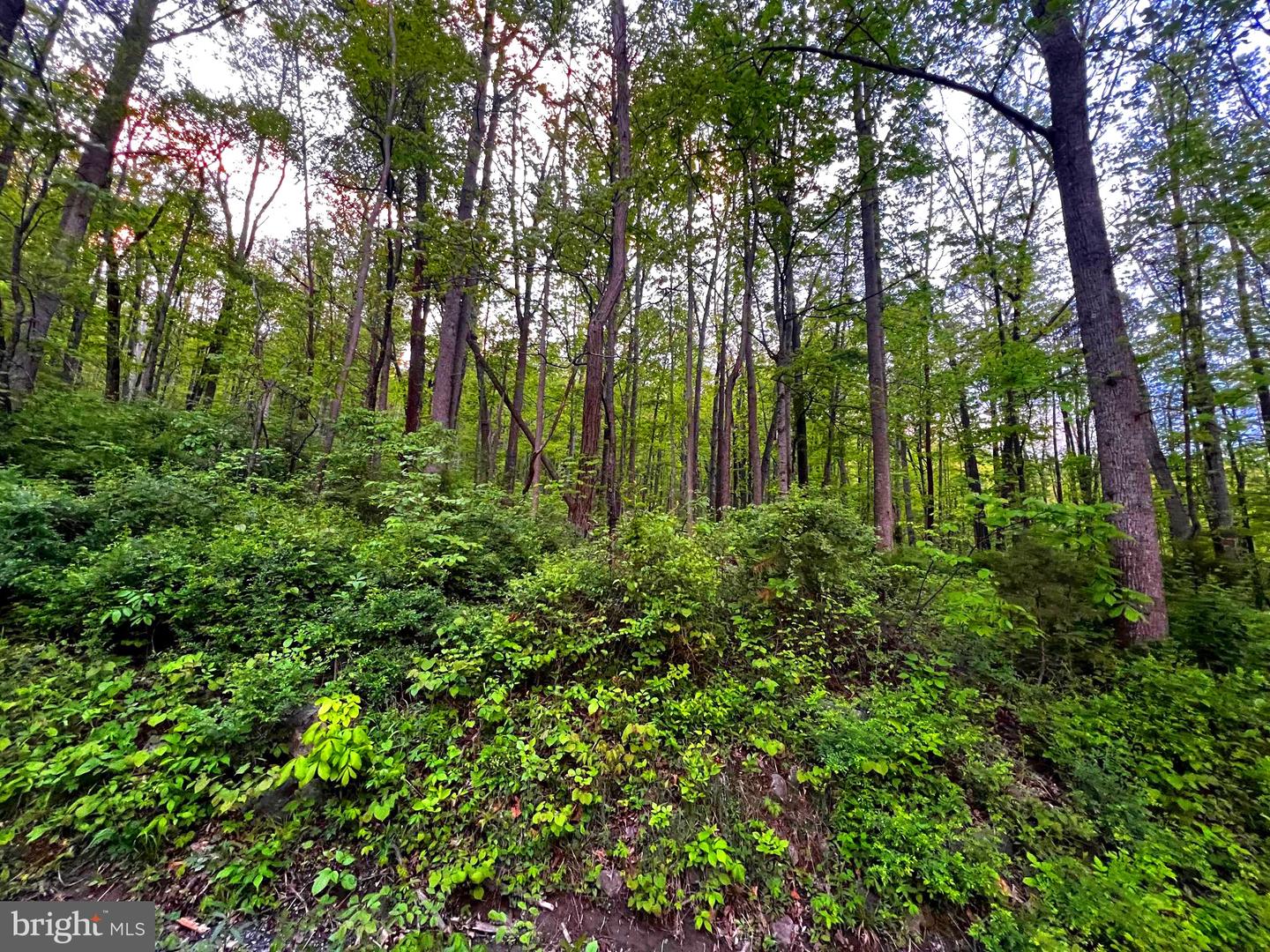 7 Dumpling Run Rd Property Photo 10