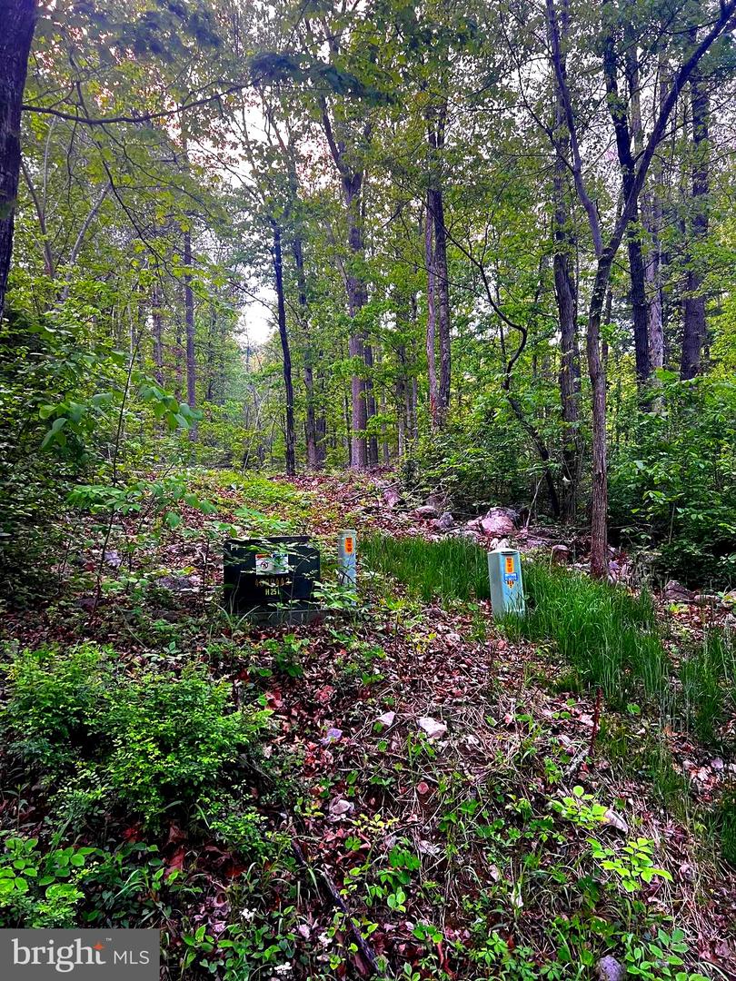 7 Dumpling Run Rd Property Photo 11