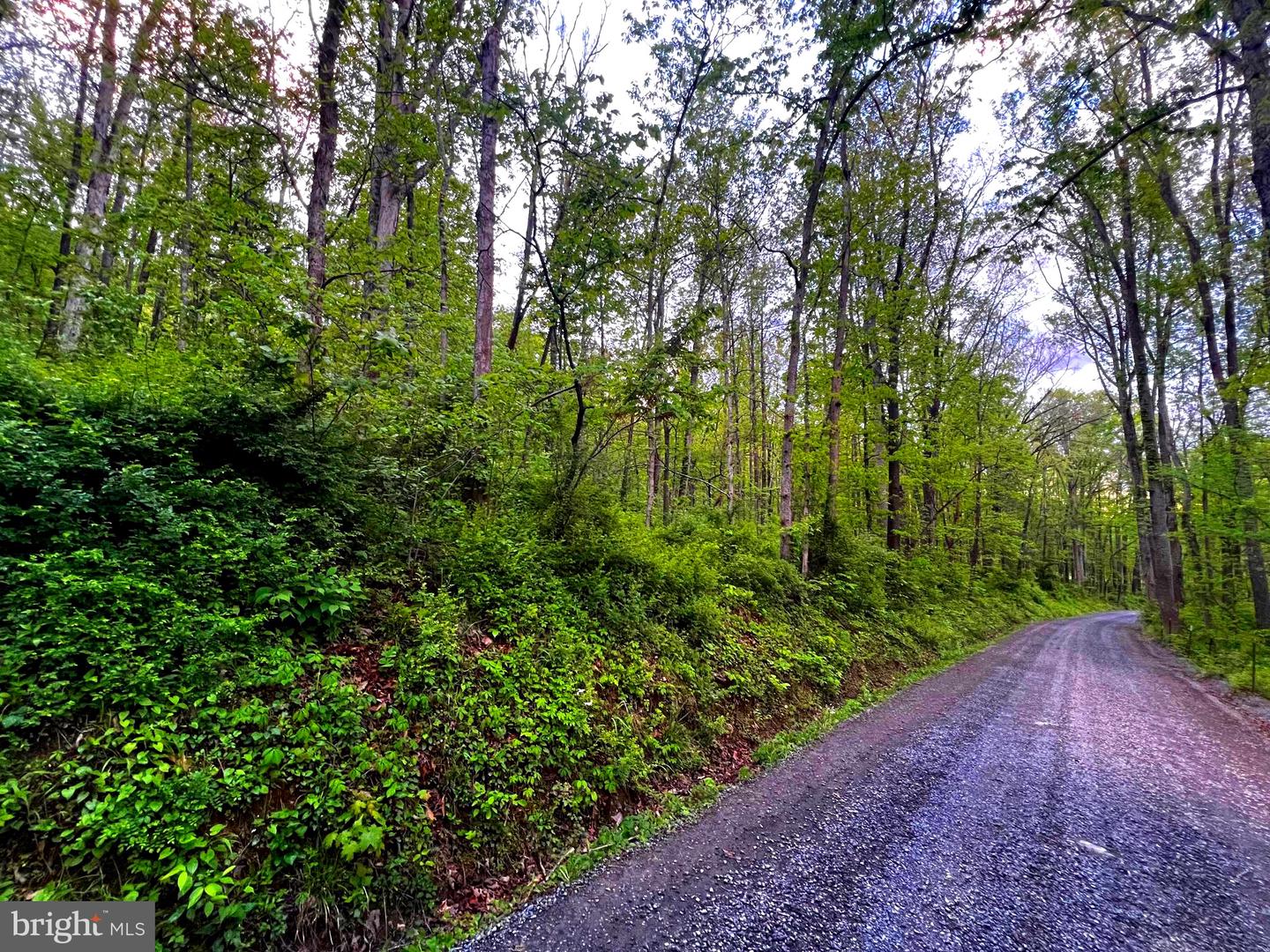 7 Dumpling Run Rd Property Photo 13
