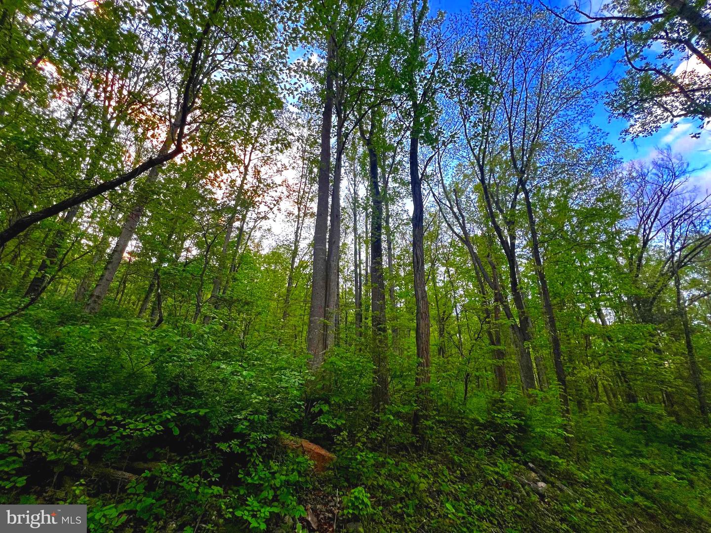 7 Dumpling Run Rd Property Photo 15