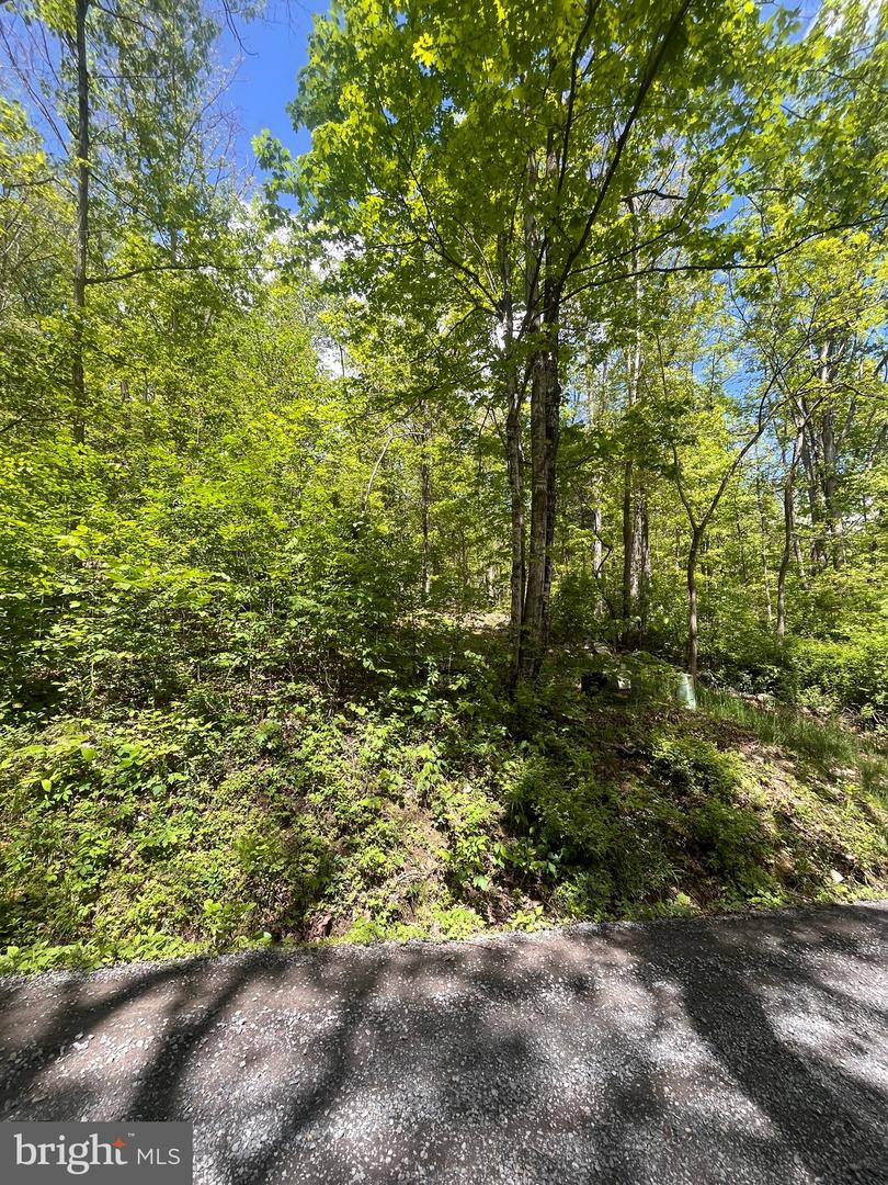 7 Dumpling Run Rd Property Photo 23
