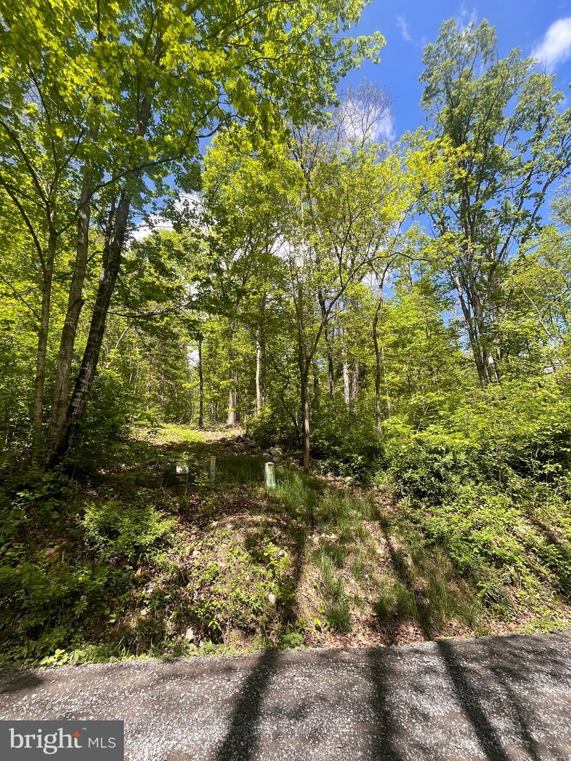 7 Dumpling Run Rd Property Photo 25