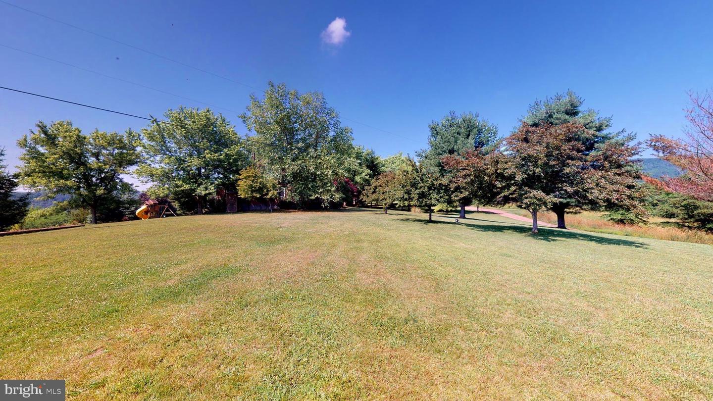 4038 Mount Olive Property Photo 11