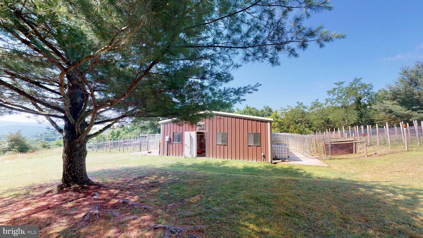 4038 Mount Olive Property Photo 12