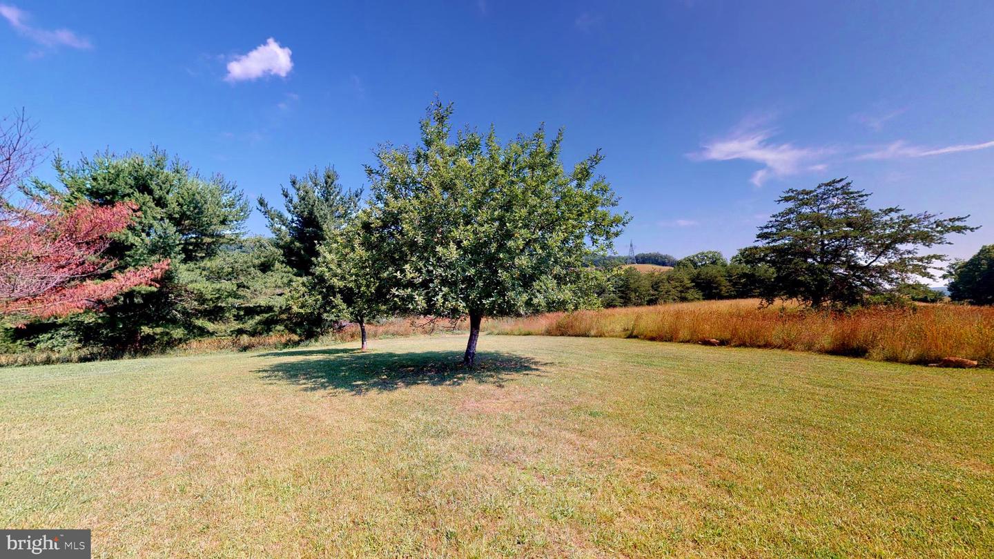 4038 Mount Olive Property Photo 31