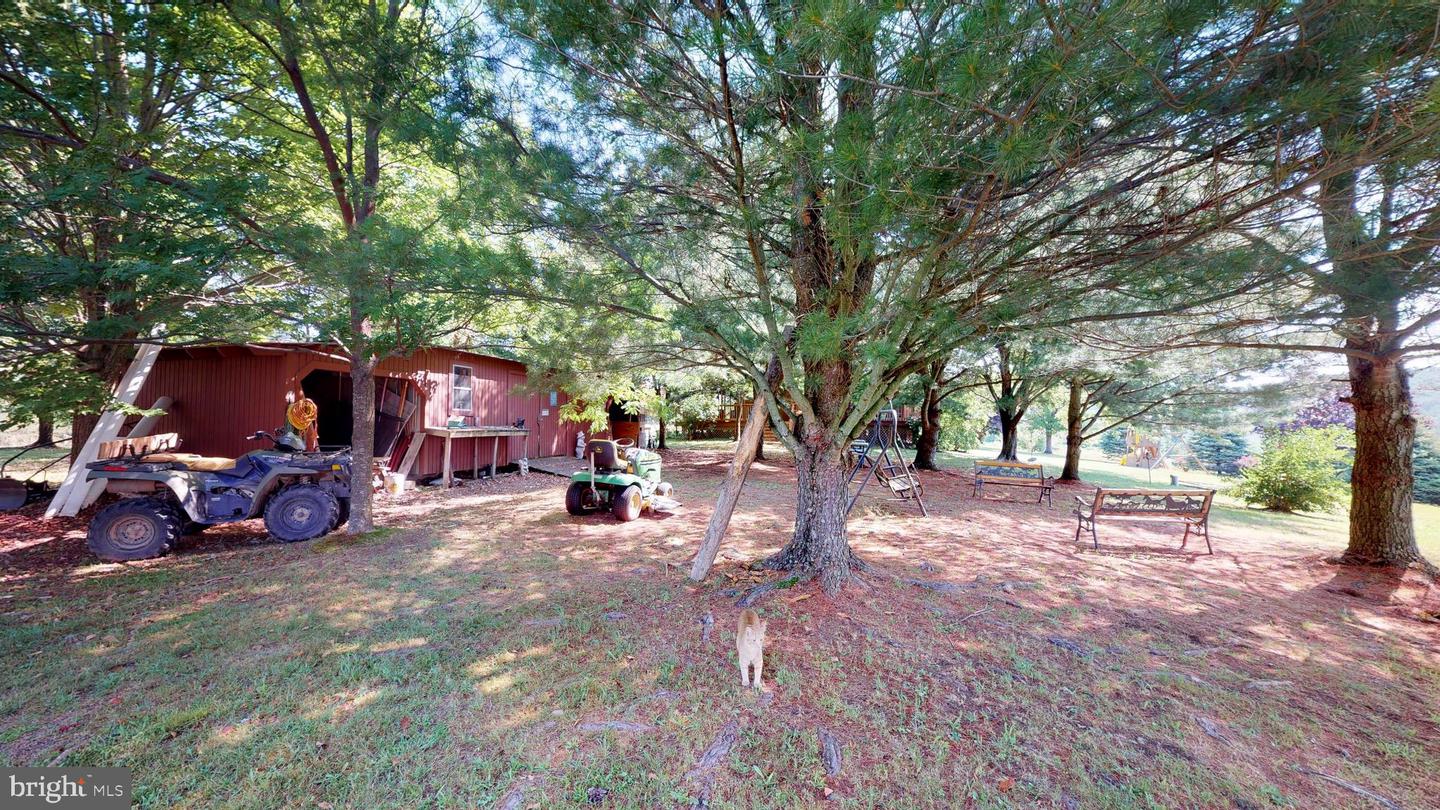 4038 Mount Olive Property Photo 51