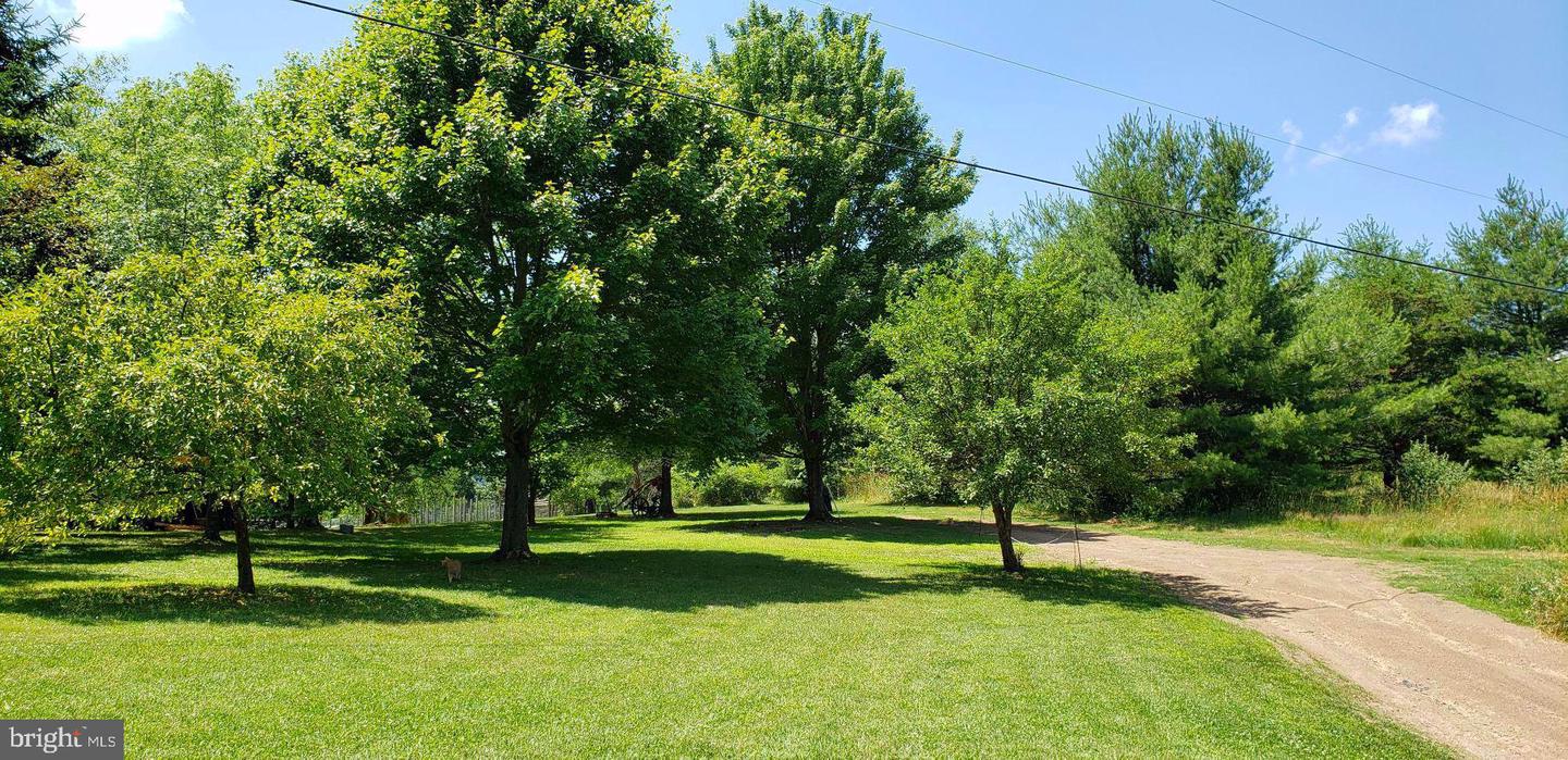4038 Mount Olive Property Photo 63