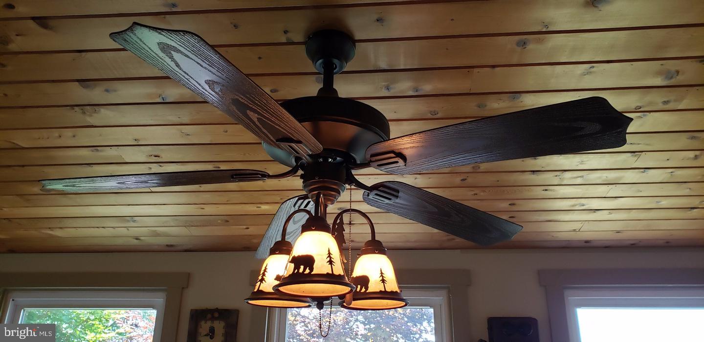 4038 Mount Olive Property Photo 65