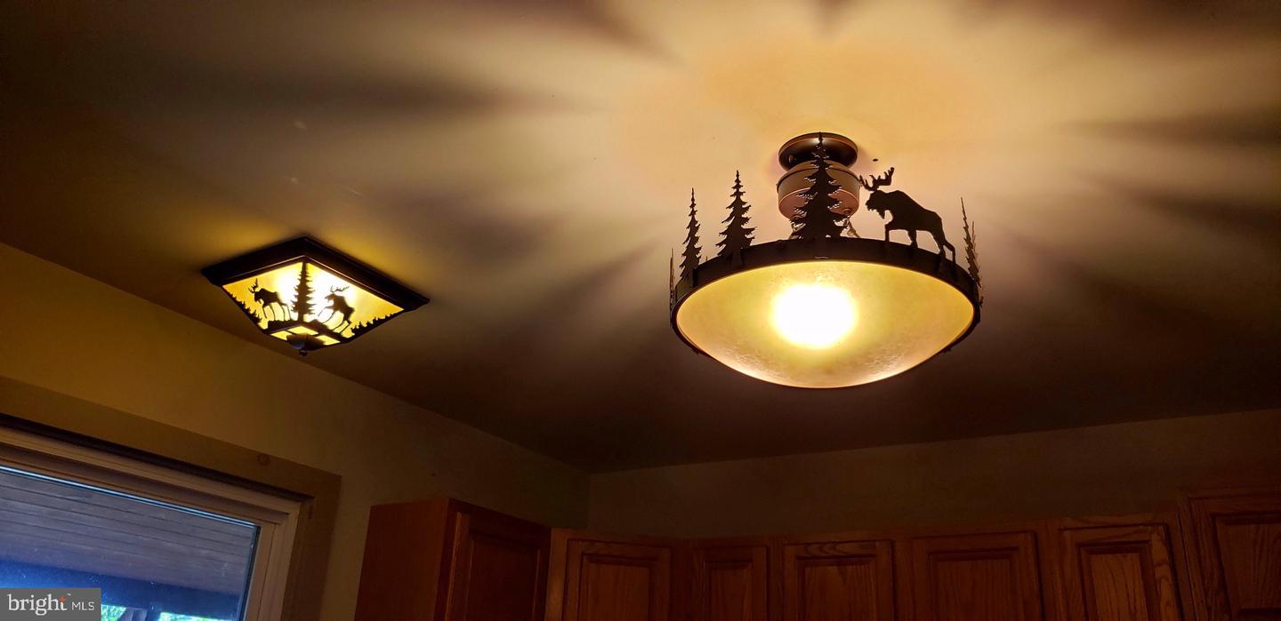 4038 Mount Olive Property Photo 71